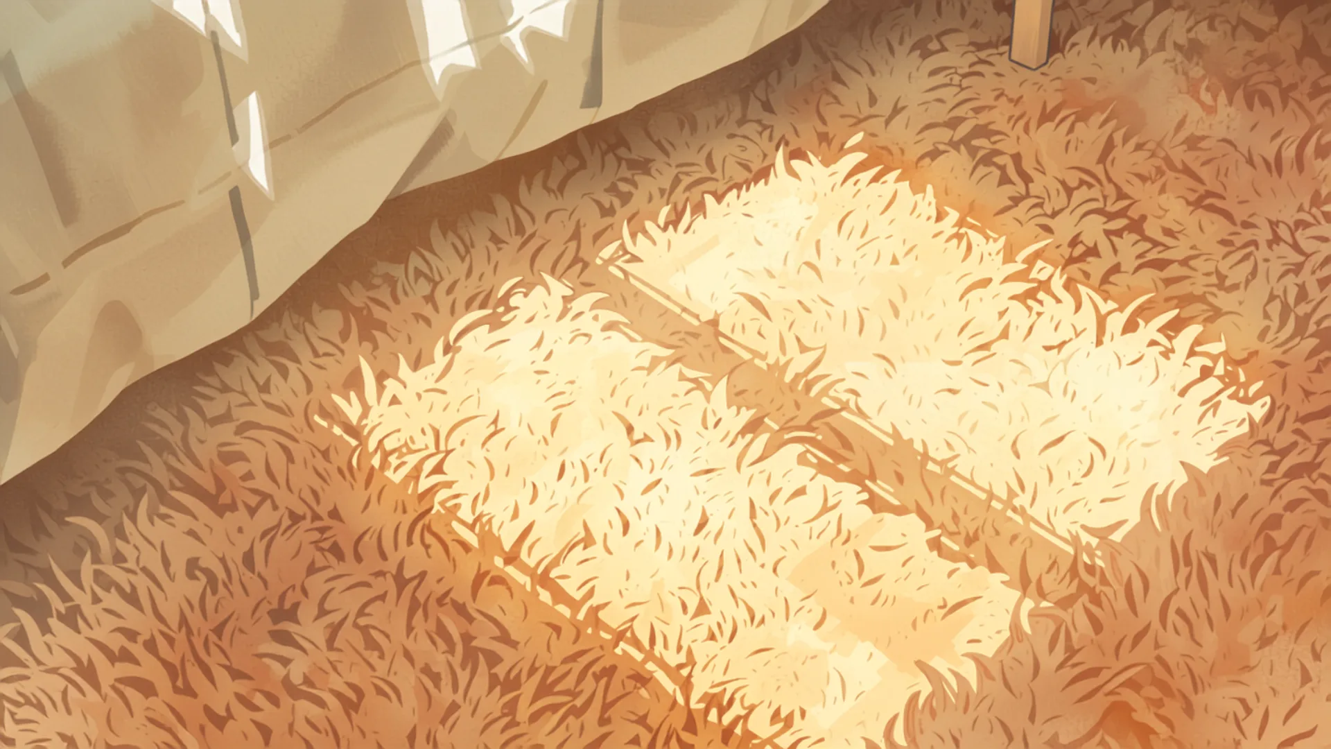 Plush new carpet in a comfortable Brisbane bedroom with soft natural light Plush new carpet in a comfortable Brisbane bedroom with soft natural light