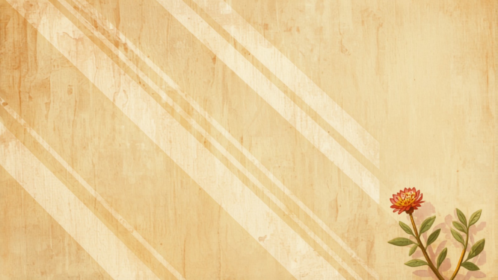 Rendering cost Sydney - texture coat and render finishes