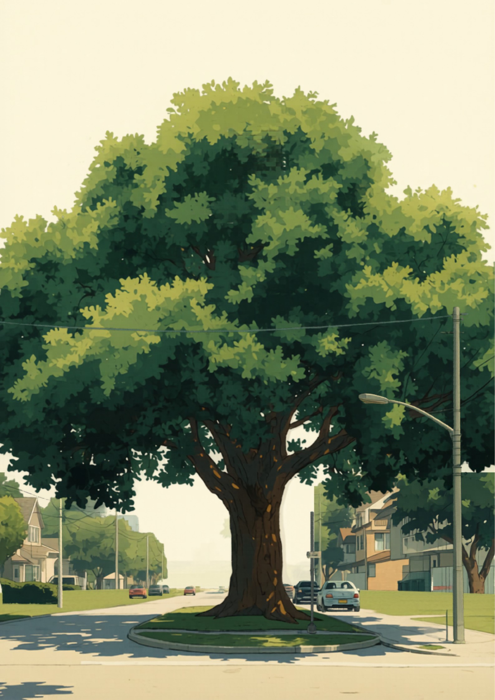 A large protected mature tree on a leafy Sydney suburban street