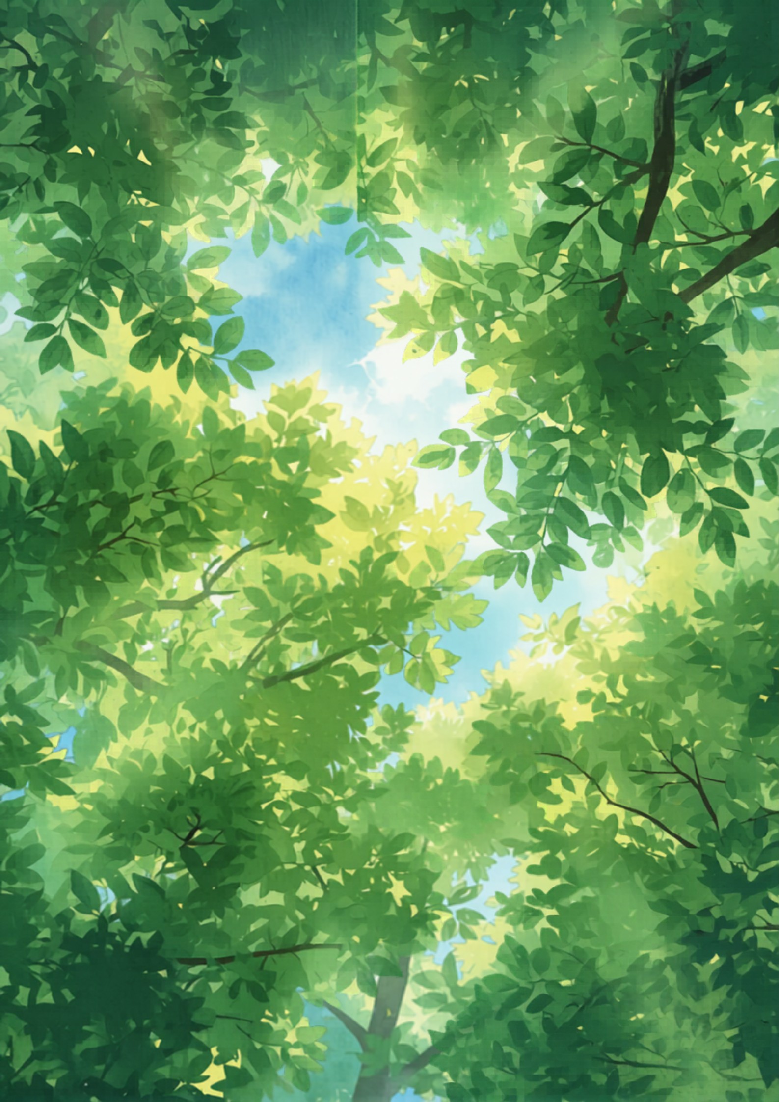 Looking up into the dense green canopy of a protected tree